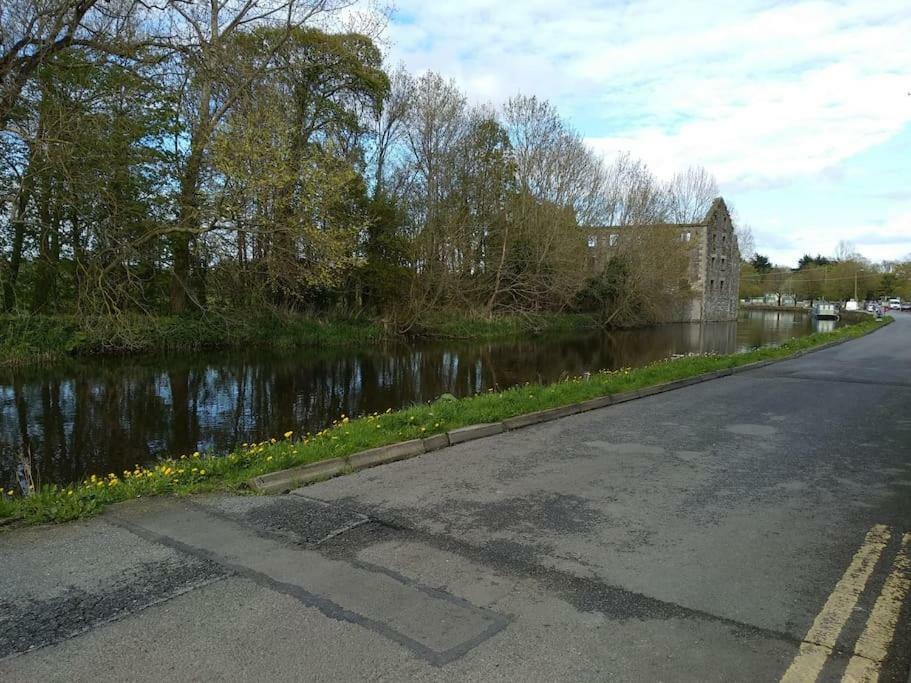Small Town House, Barrow Lane, Bagenalstown, Carlow Экстерьер фото